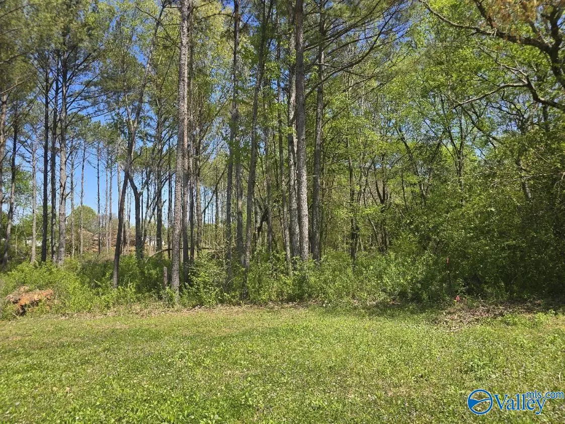 Toney, AL 35773,1 Acre Beaver Run Drive