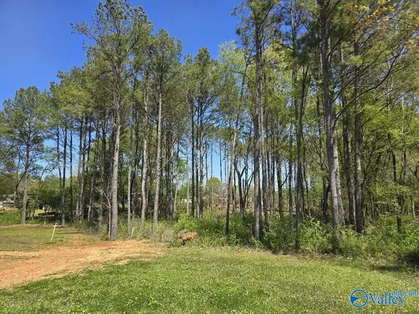 Toney, AL 35773,1 Acre Beaver Run Drive