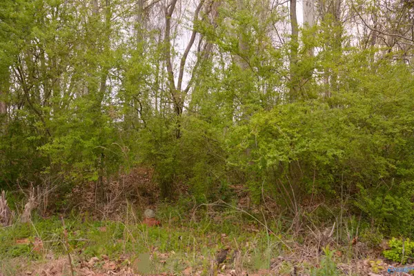 Scottsboro, AL 35768,2205 East Willow Street