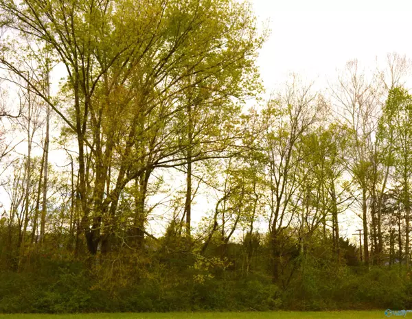 Scottsboro, AL 35768,2205 East Willow Street