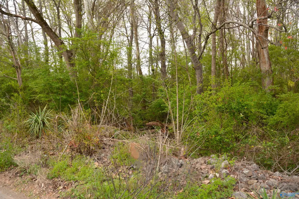 Scottsboro, AL 35768,2205 East Willow Street