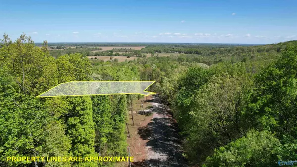 Trinity, AL 35673,Lot 14 County Road 379