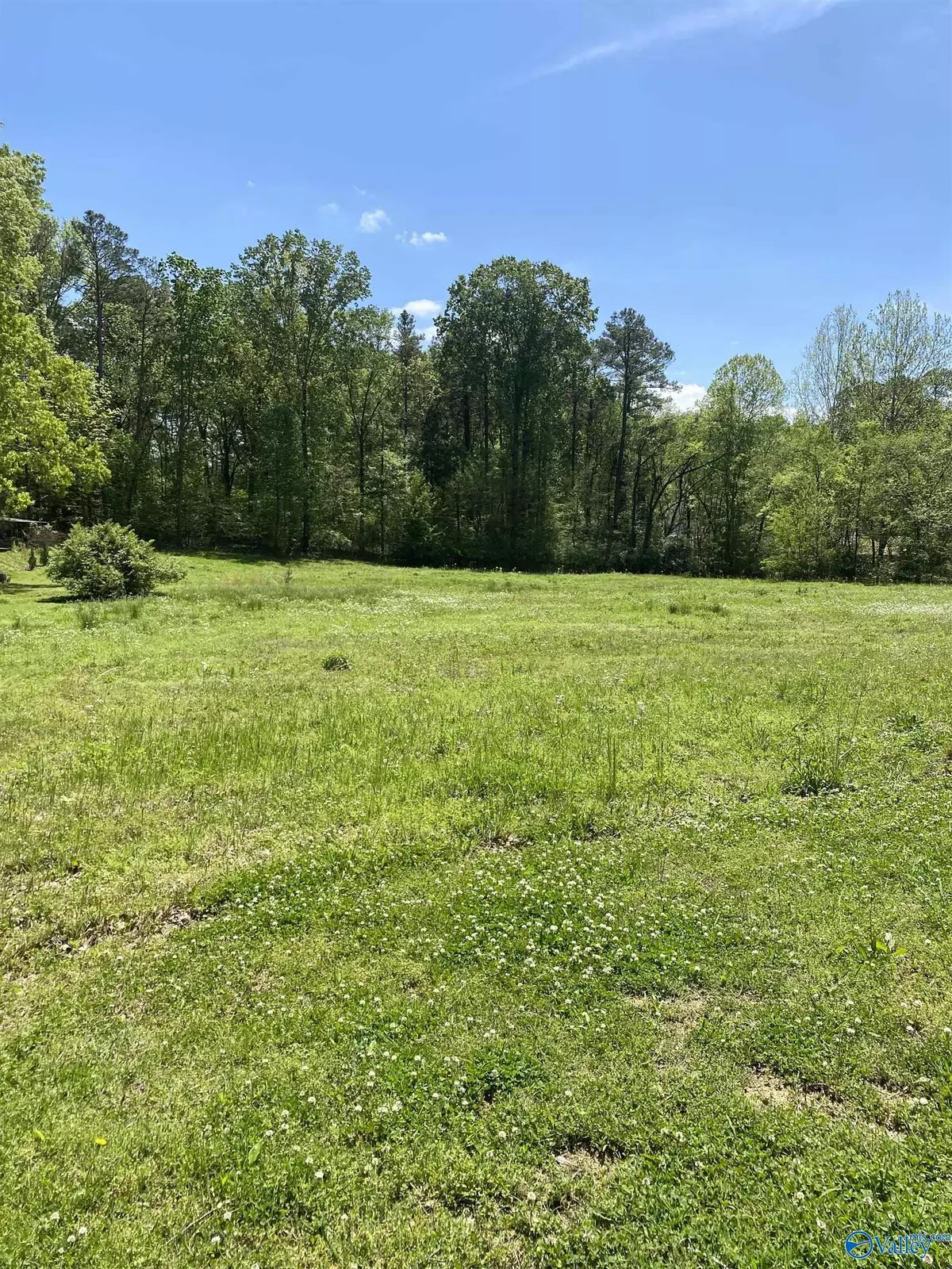 Scottsboro, AL 35769,vacant tract Campground Circle