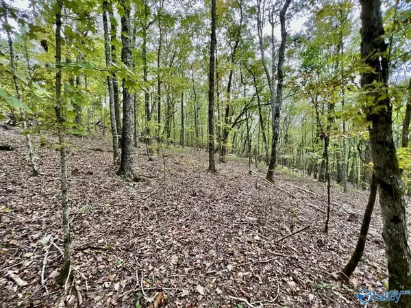 32.5 acres Keel Mountain Road, Gurley, AL 35748