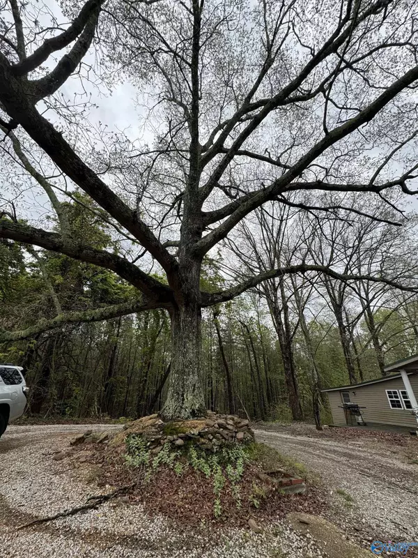 Haleyville, AL 35565,258 County Road 3433