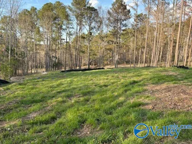 Cherokee Ridge, AL 35175,Lot 37 Savannah Circle