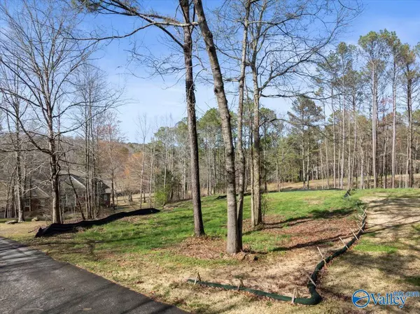 Cherokee Ridge, AL 35175,Lot 37 Savannah Circle