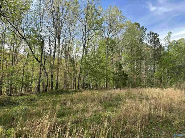 Fort Payne, AL 35967,3 acres Hixon Road NW