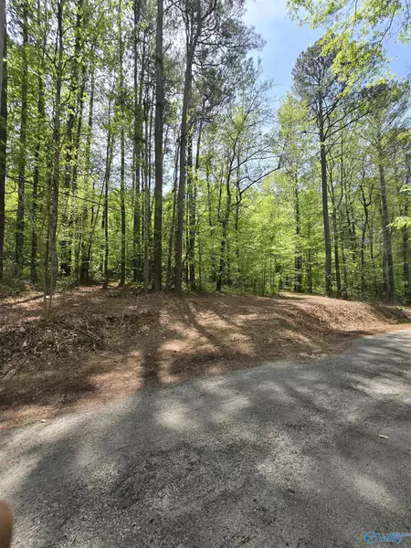 Lot 23 Shoreland Circle, Scottsboro, AL 35769