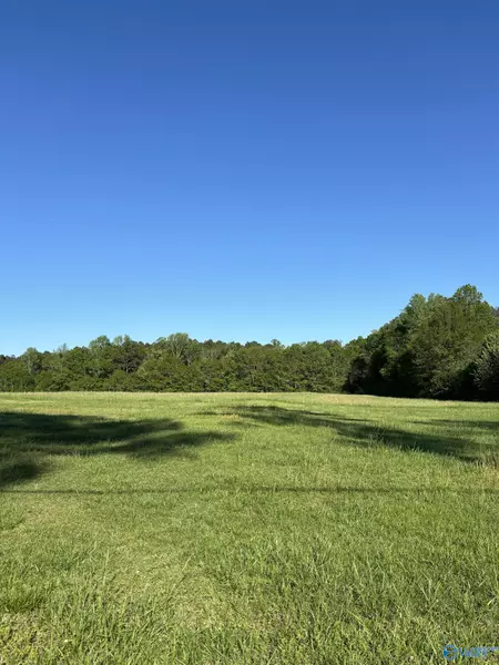 2.14 +/- Acres Rabbittown Road, Albertville, AL 35951