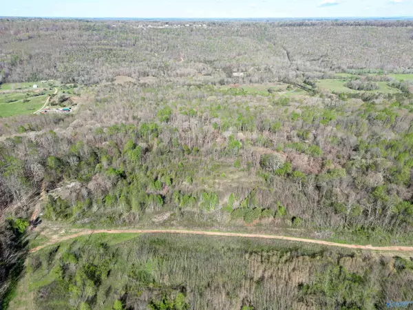 Flat Rock, AL 35966,10 Acres County Road 792