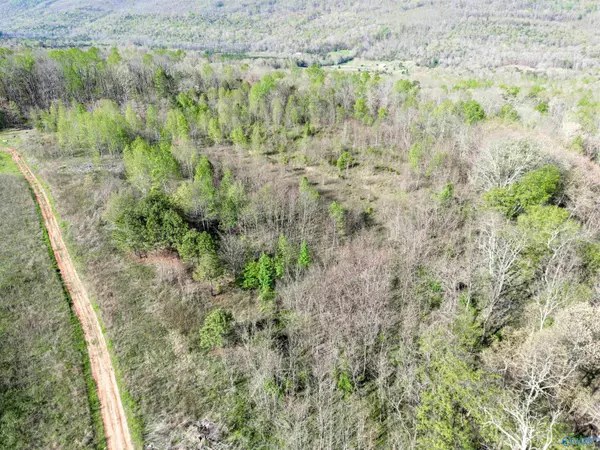 Flat Rock, AL 35966,10 Acres County Road 792