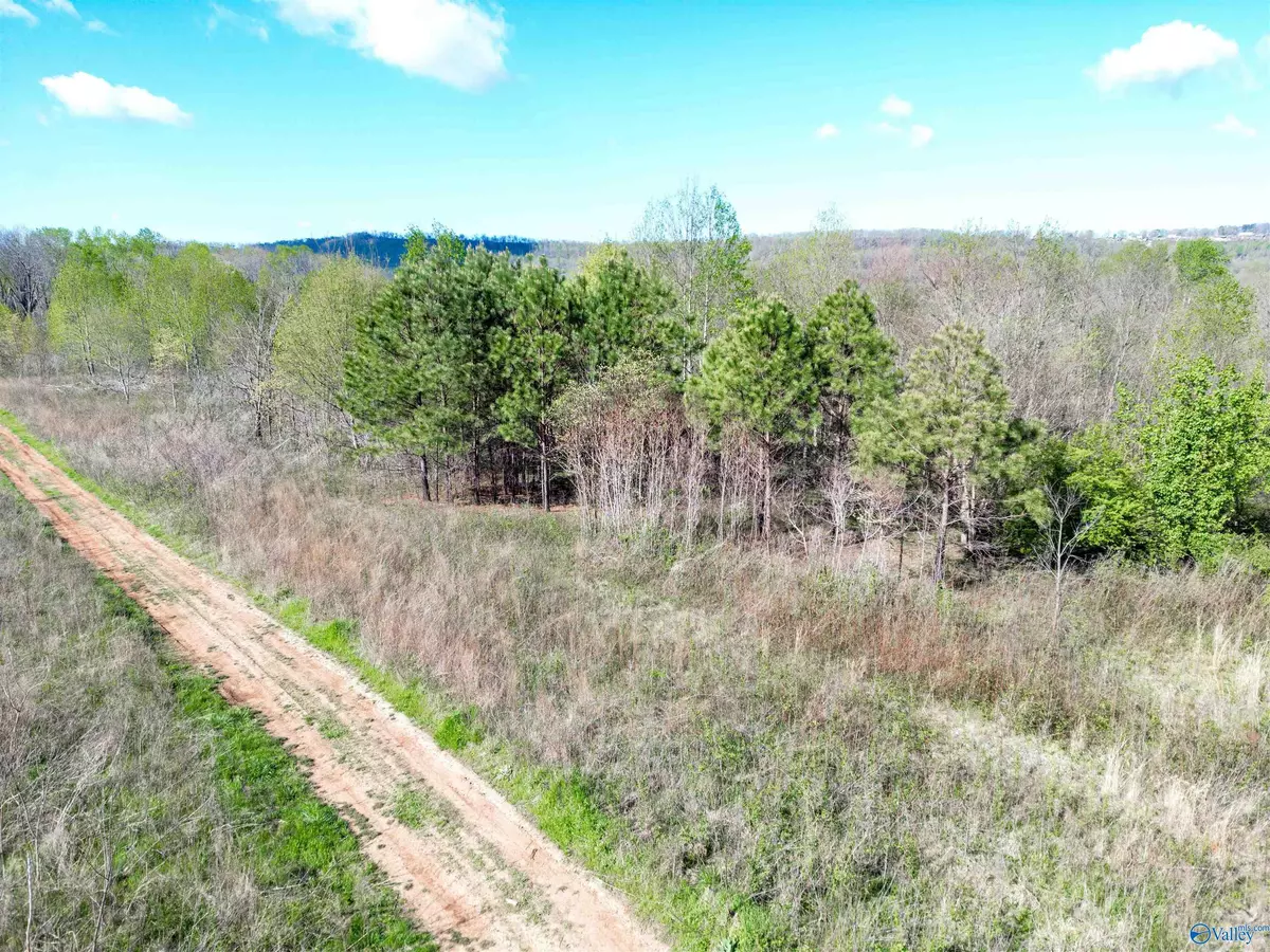 Flat Rock, AL 35966,10 Acres County Road 792