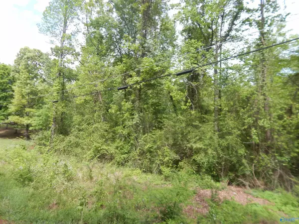 .51 ACRES Rita Street, Southside, AL 35907