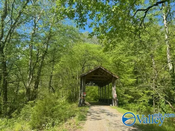 Estillfork, AL 35745,24835 Alabama Highway 65