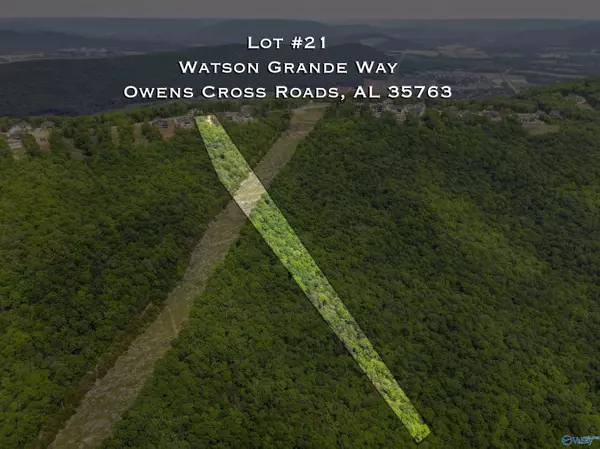 Owens Cross Roads, AL 35763,Lot 21 Watson Grande Way