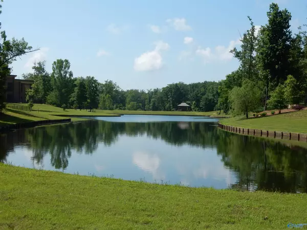 Huntsville, AL 35803,15 Winter Walk Way