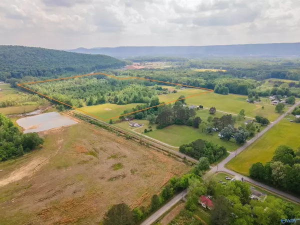 Owens Cross Roads, AL 35763,51 ACRES School Road