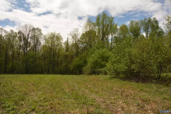3.0 Acres Walls Road, Scottsboro, AL 35768