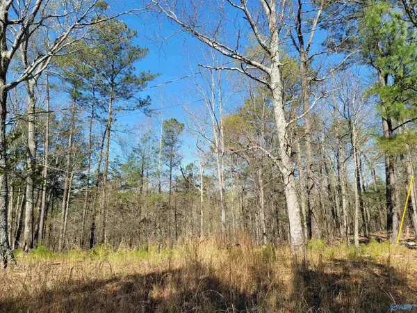 680 County Road 81, Bremen, AL 35033