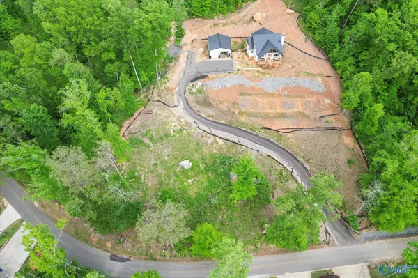 Grant, AL 35747,L 4 White Elephant Road