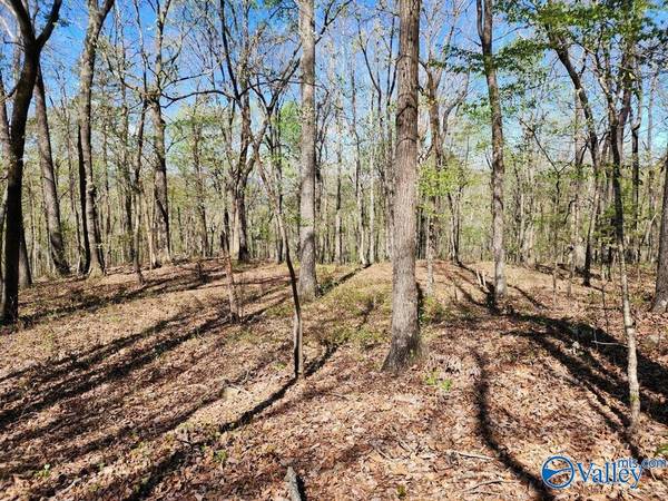 59 acres Horse Cove Road, Gurley, AL 35748