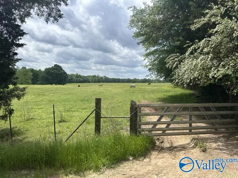 183 Cut Off Road, Horton, AL 35980