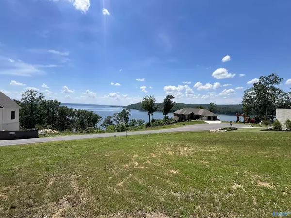 Guntersville, AL 35976,Lot 99 Ryan Drive