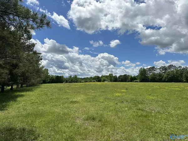 16 Acres Wallace Drive, Hartselle, AL 35640