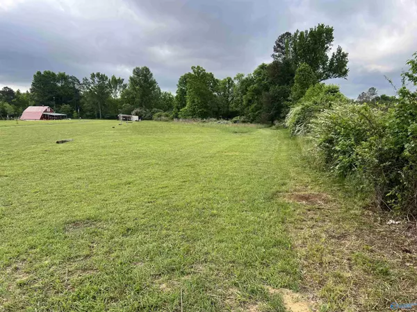 39159 Hwy 75, Fyffe, AL 35971