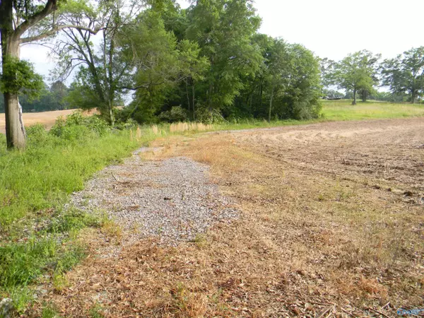 Centre, AL 35960,5.34 Acres +/- County Road 40