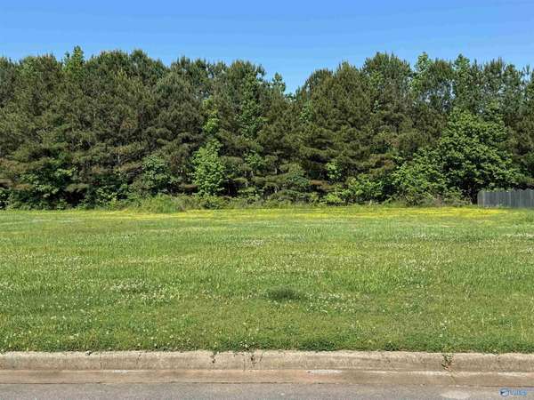 Lot 9 Harvest Ridge Drive, Harvest, AL 35749