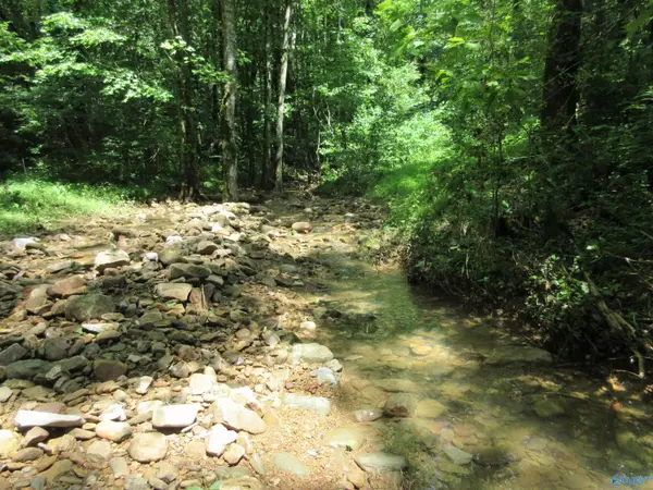 Limrock, AL 35776,200 County Road 119