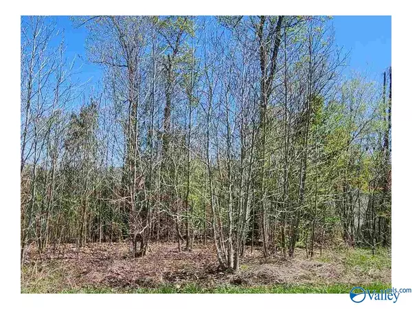 Scottsboro, AL 35769,745 Monte Sano Drive