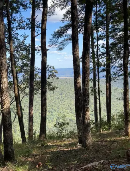 8.3 acres Keel Mountain Road #Tract 2, Gurley, AL 35748