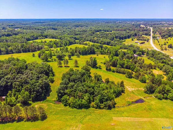 Anderson, AL 35610,23 +/- acres Hwy 207