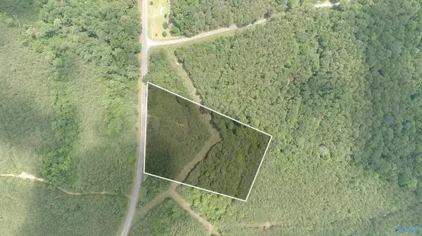 Winfield, AL 35594,3.34 Acres County Road 30