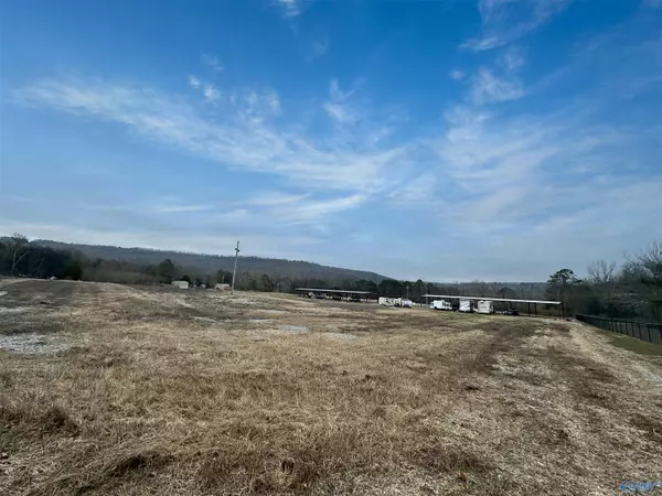 Langston, AL 35755,9699 County Road 67