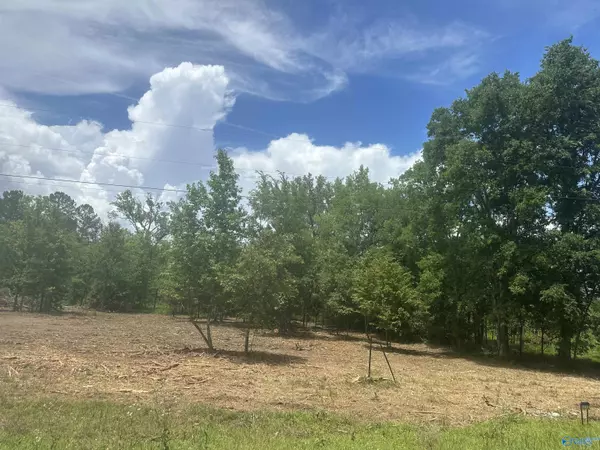 Moulton, AL 35650,Lot #2 County Road 59