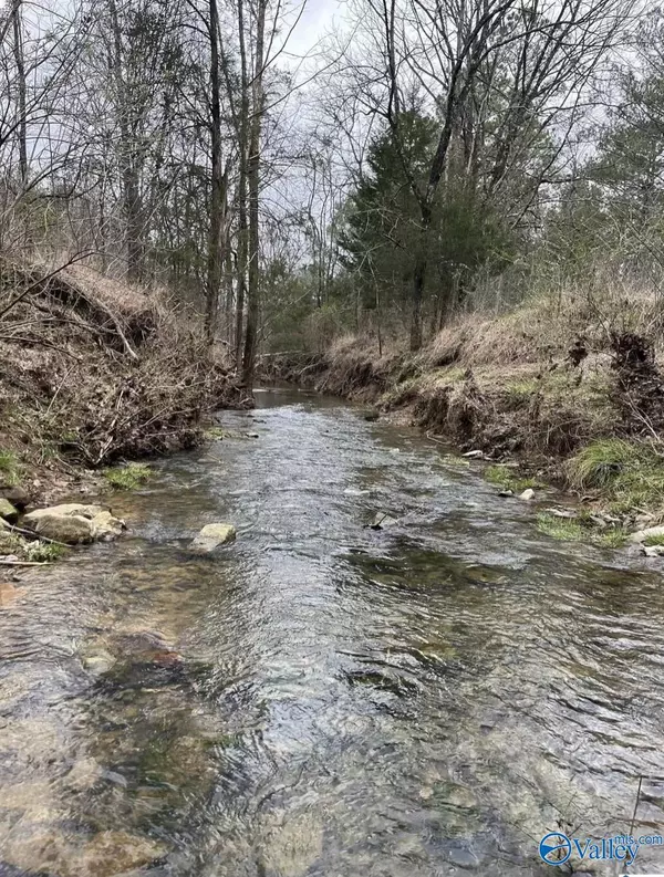 Moulton, AL 35650,Lot #3 County Road 59