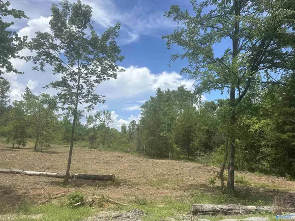 Moulton, AL 35650,Lot #6 County Road 59