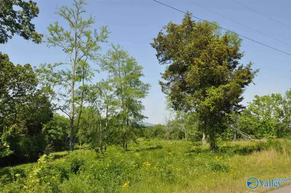 Hollywood, AL 35752,lot 40 Ryan Road