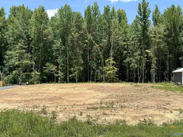 Grant, AL 35747,Lot 4 Mitchell Hollow Road