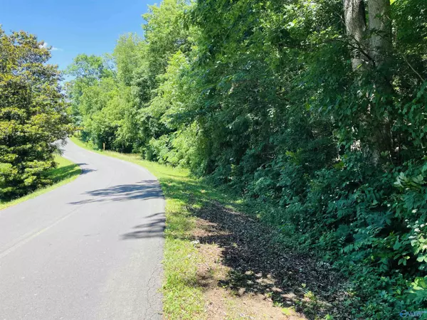 Fort Payne, AL 36526,87 ac Martin Avenue