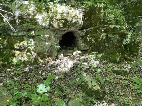 Fort Payne, AL 36526,87 ac Martin Avenue