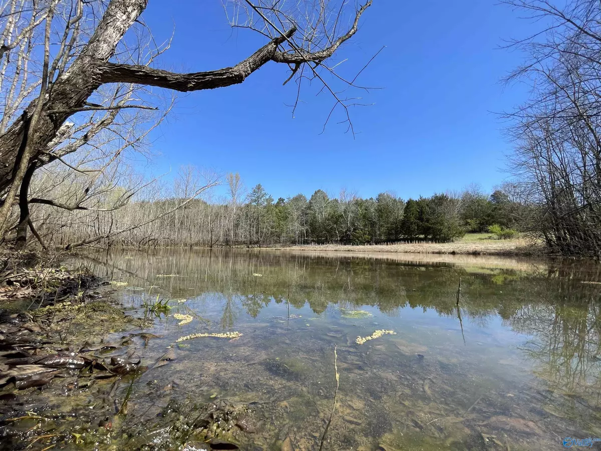 Rising Fawn, GA 30738,01 Forest Drive