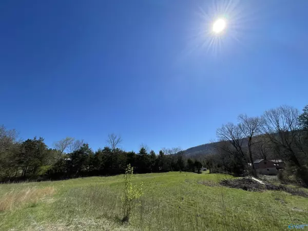 Rising Fawn, GA 30738,01 Forest Drive