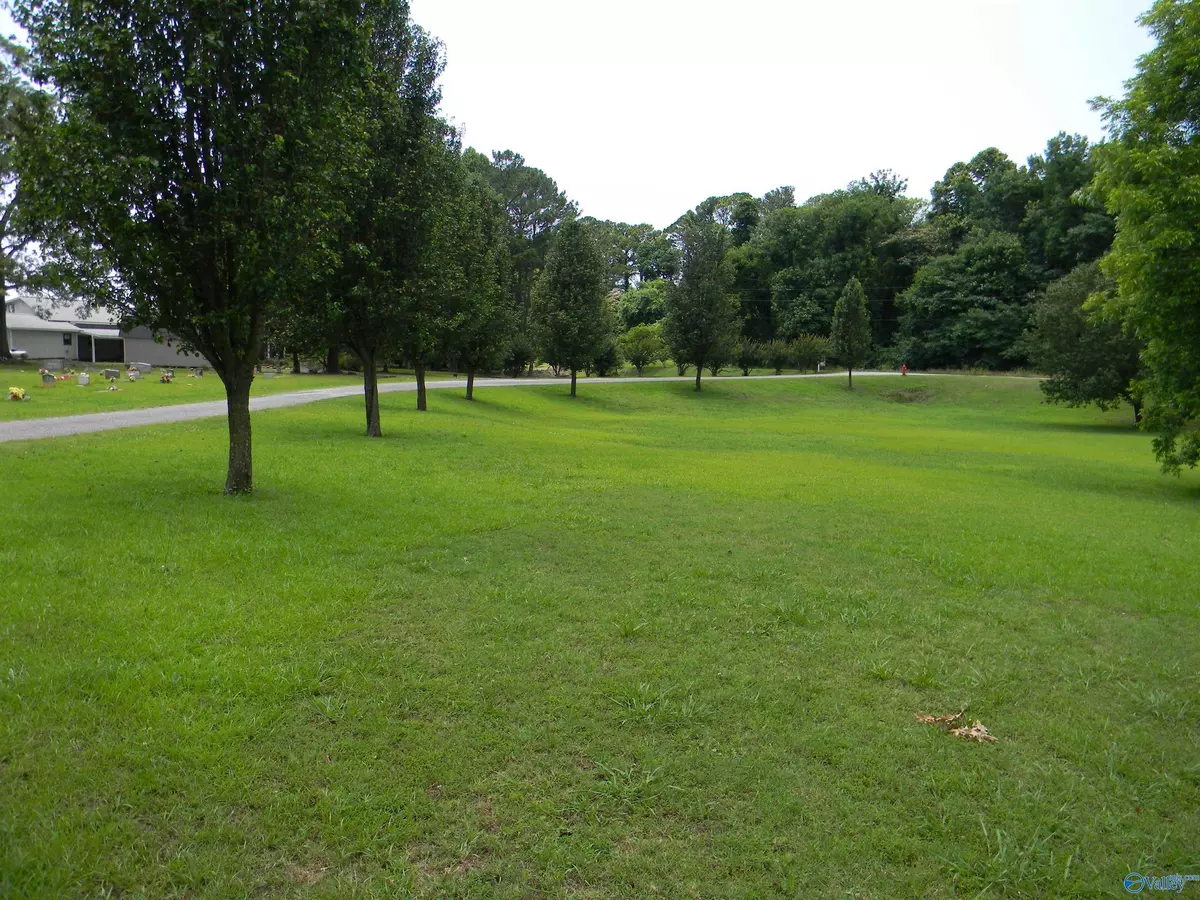 Cedar Bluff, AL 35959,Lot 0 Moneys Bend Road