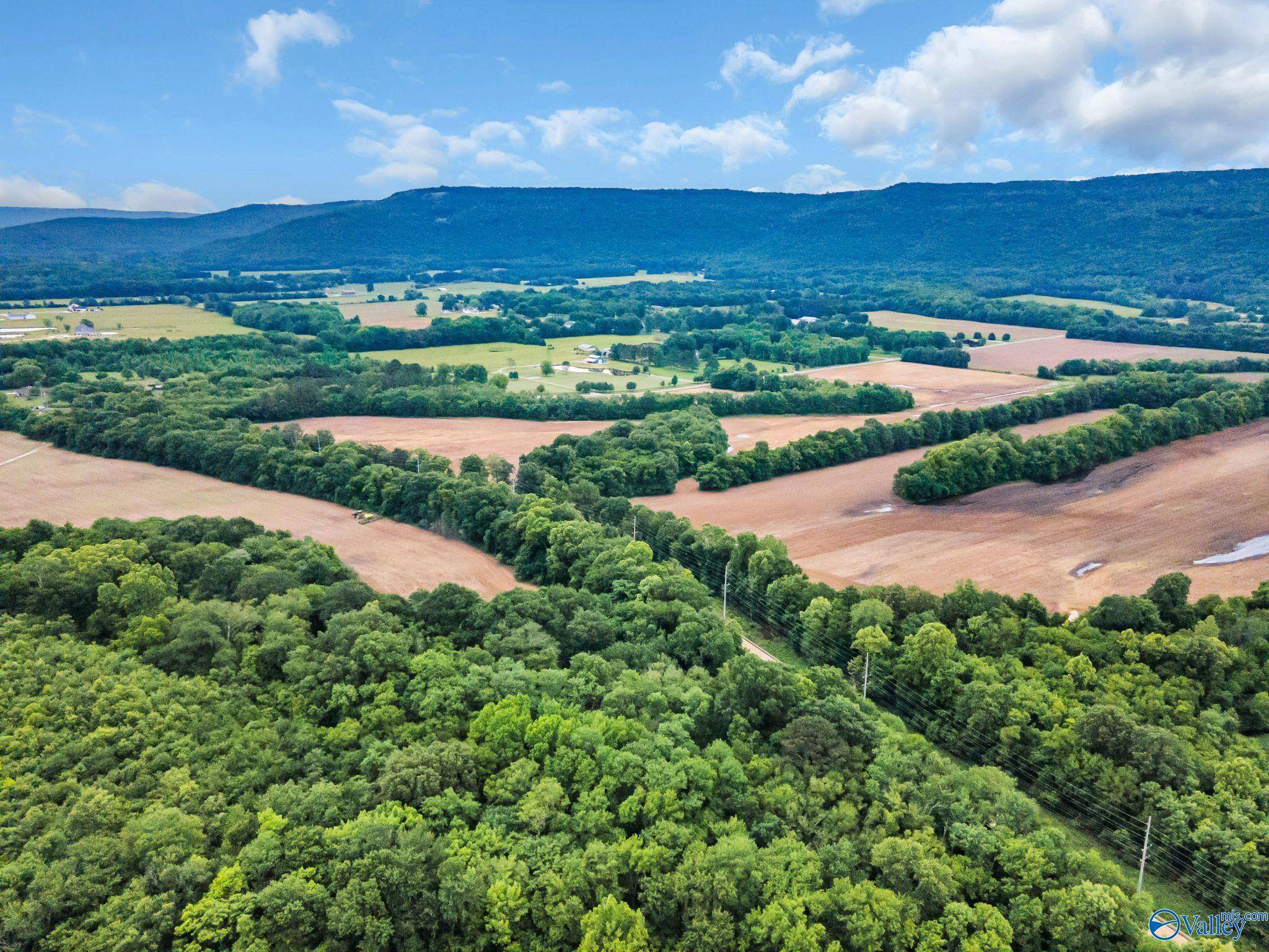 Gurley, AL 35748,73 Acres Mcmullen Road
