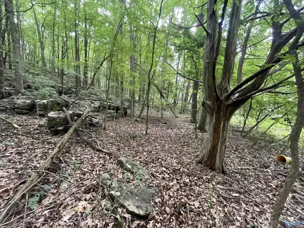 Owens Cross Roads, AL 35763,1 George Byrd Drive